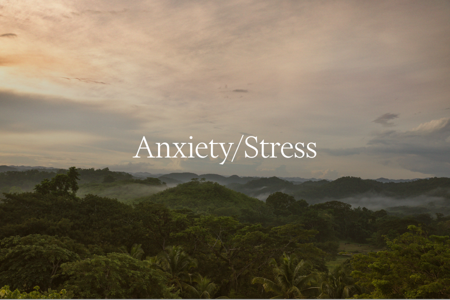 Anxiety/Stress Webinar