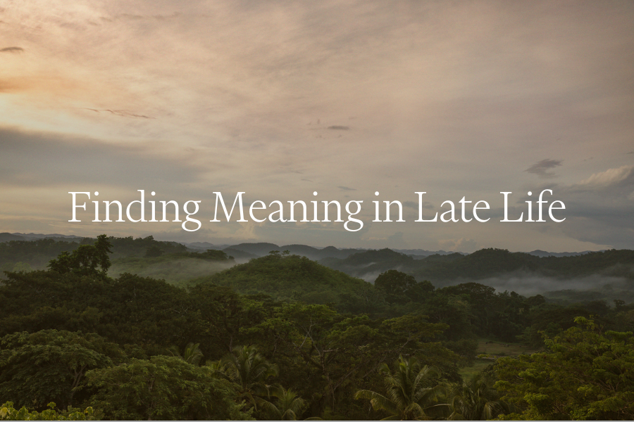 Meaning in Late Life Webinar