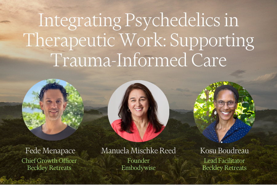 Integrating Psychedelics&nbsp;in Therapeutic Work: Supporting Trauma-Informed Care