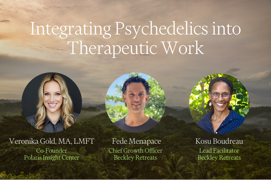 Integrating Psychedelics into Therapeutic Work